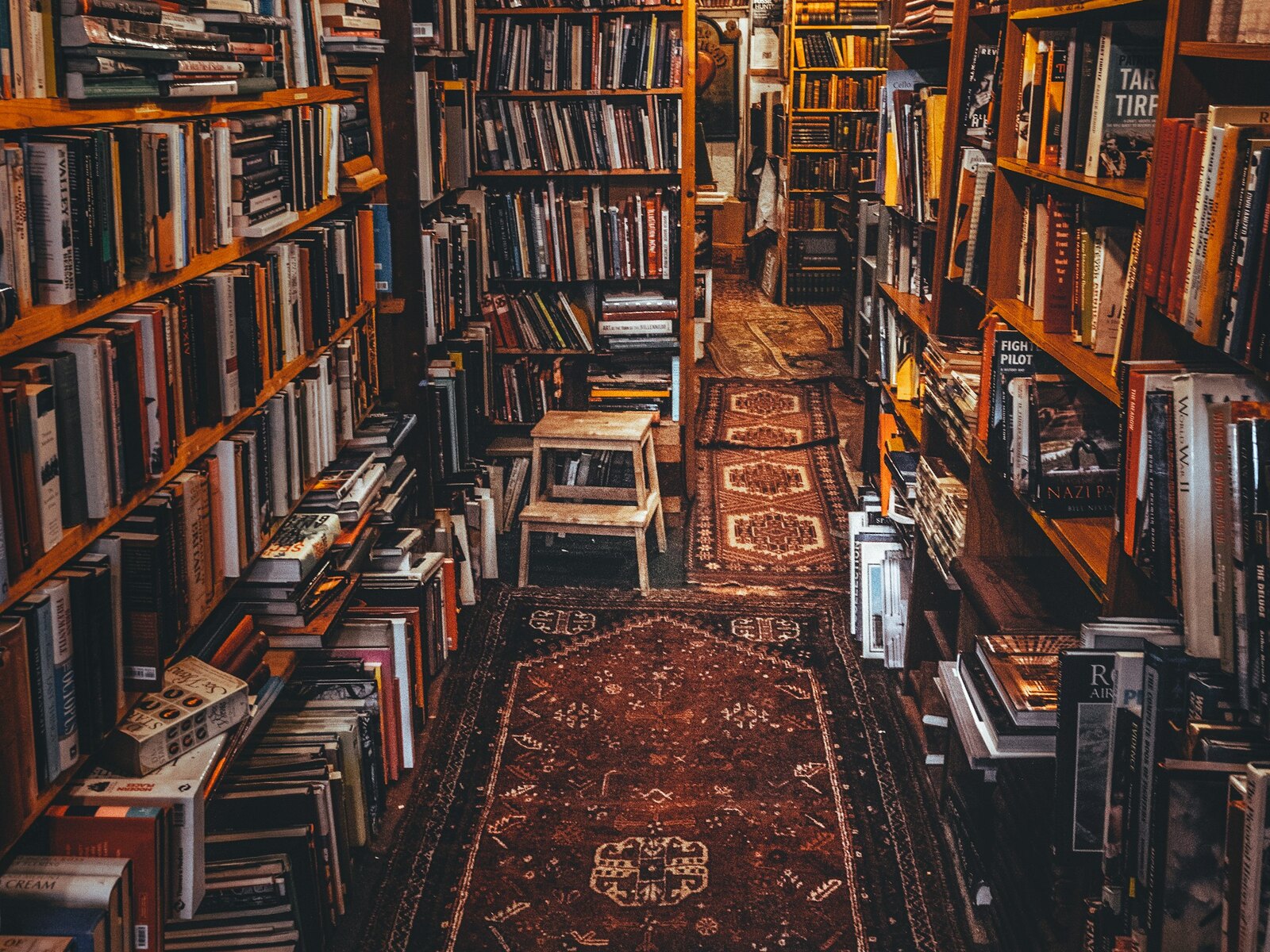 The warm, book lined interior of Dog Eared Books