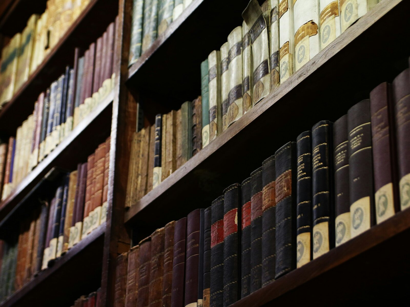 A shelf of old leather bound books with worn spines